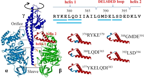 FIGURE 1.