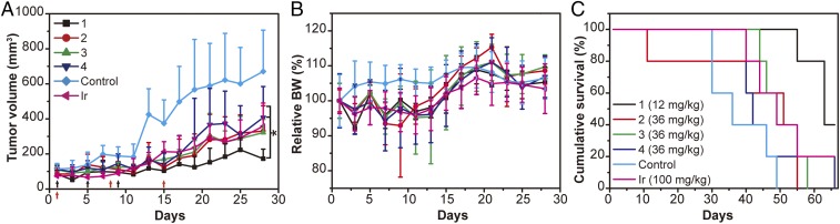 Fig. 6.