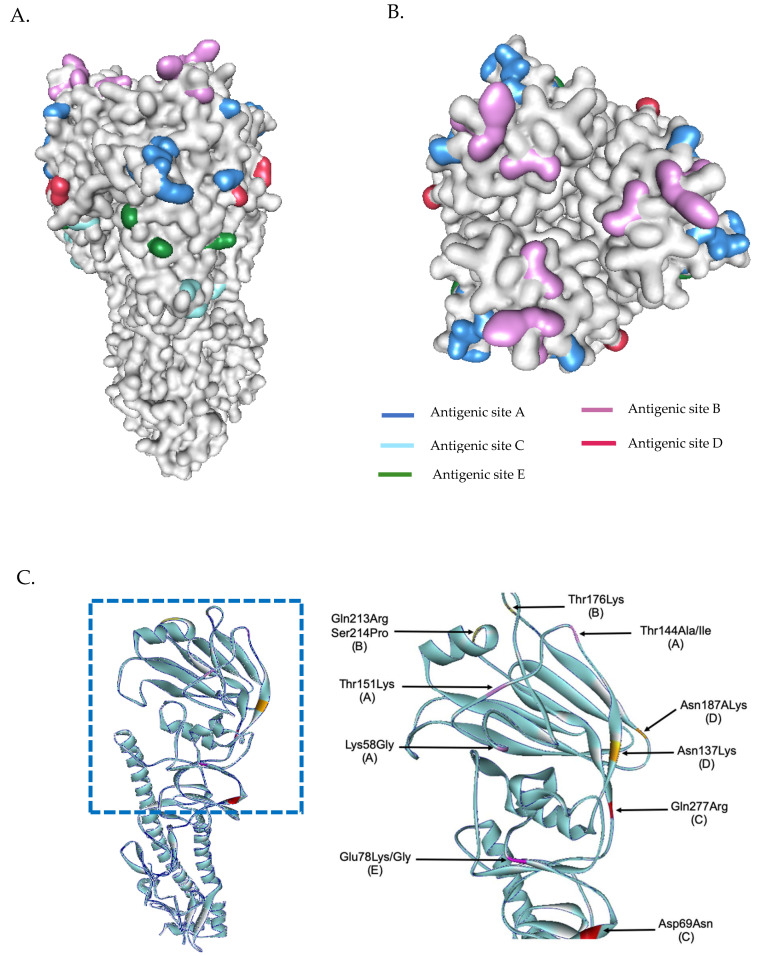 Figure 5