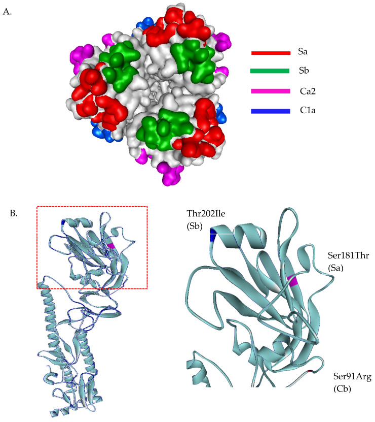 Figure 2