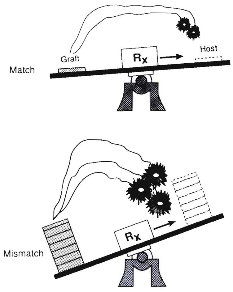 Fig. 26