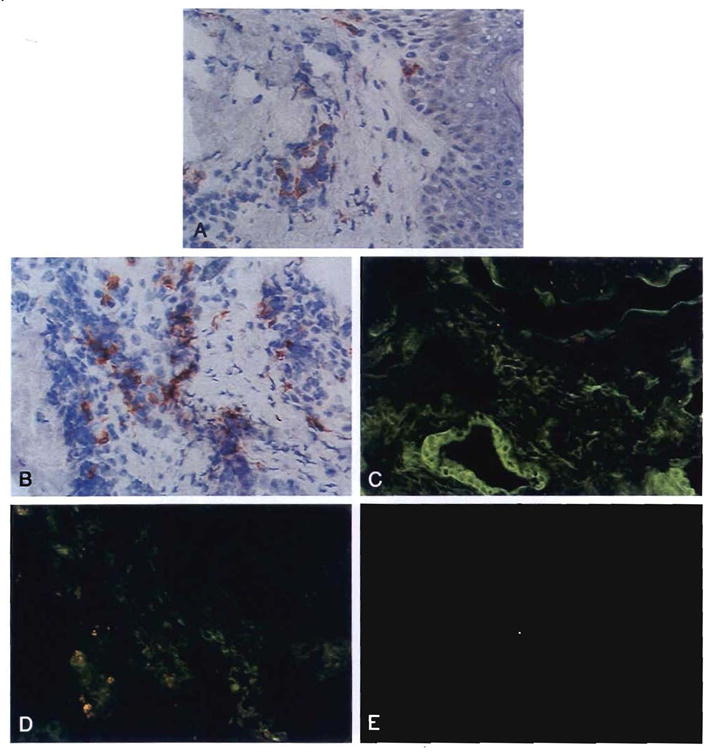 Fig. 30