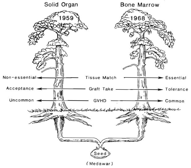 Fig. 25