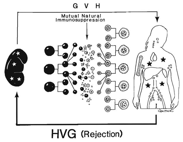 Fig. 28