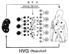 Fig. 28