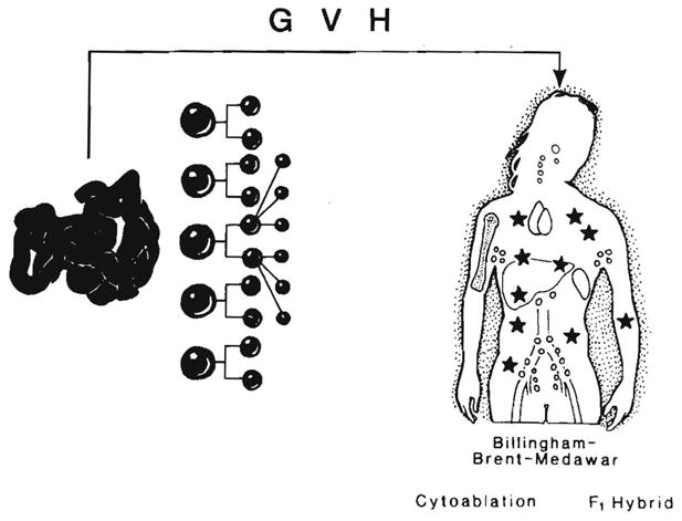 Fig. 23