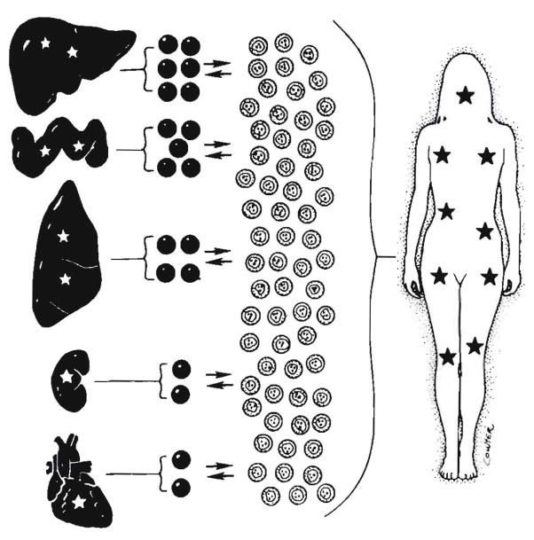 Fig. 32