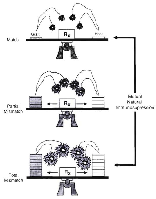 Fig. 27