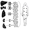 Fig. 32