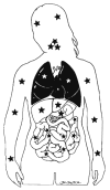 Fig. 19