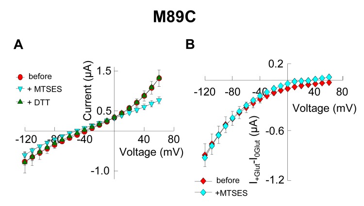 Figure 3—figure supplement 1.