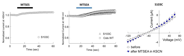 Figure 5—figure supplement 1.