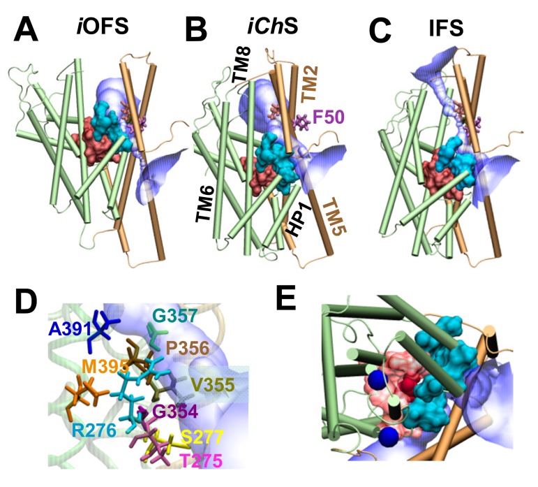 Figure 6.