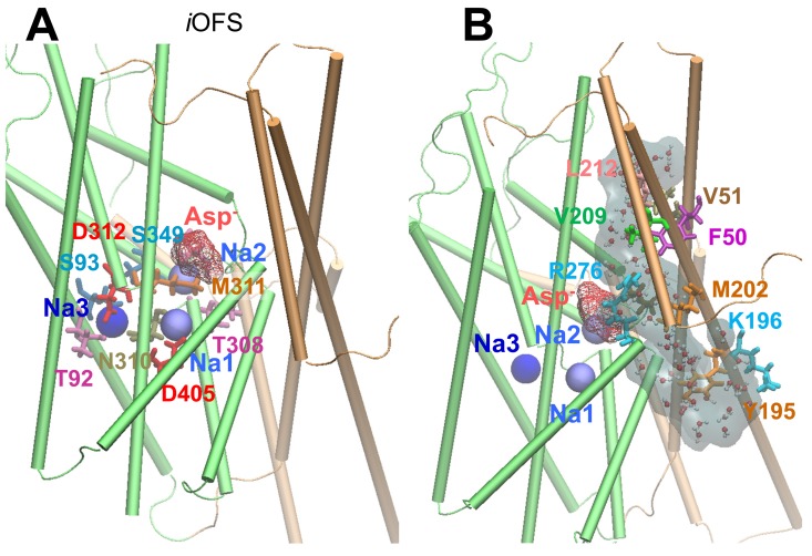 Figure 2—figure supplement 1.