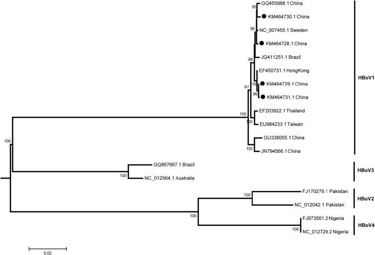 Figure 2