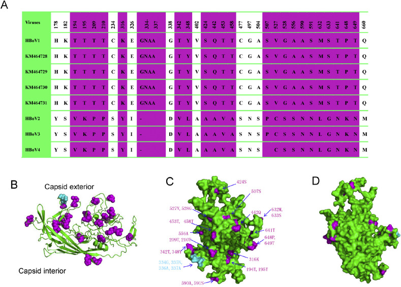 Figure 4