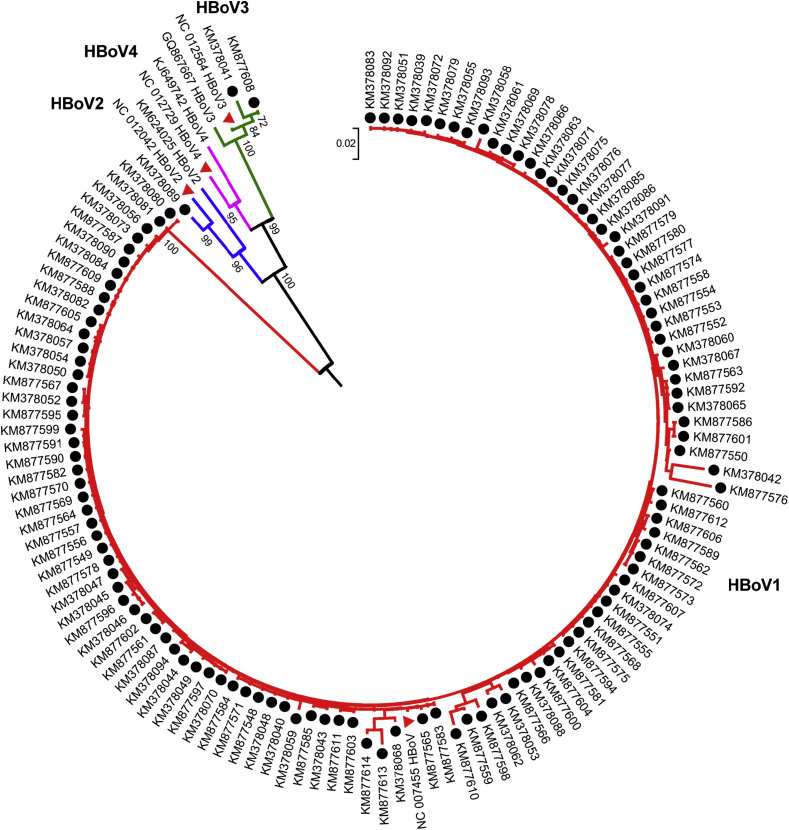 Figure 1