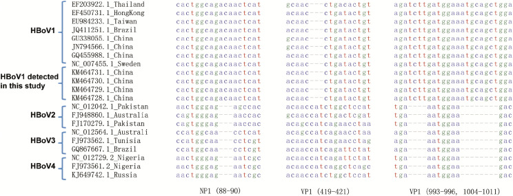 Figure 3