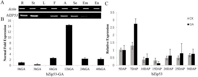 Fig 4