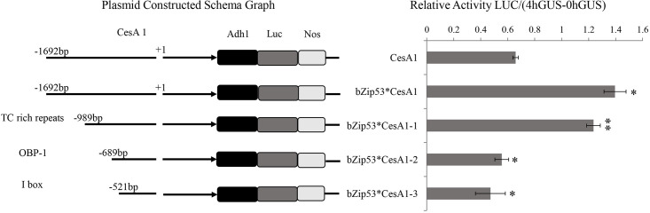 Fig 7