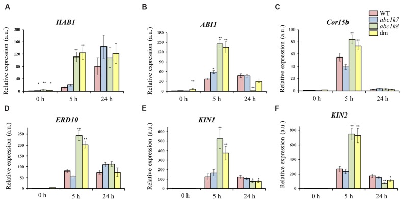 FIGURE 5