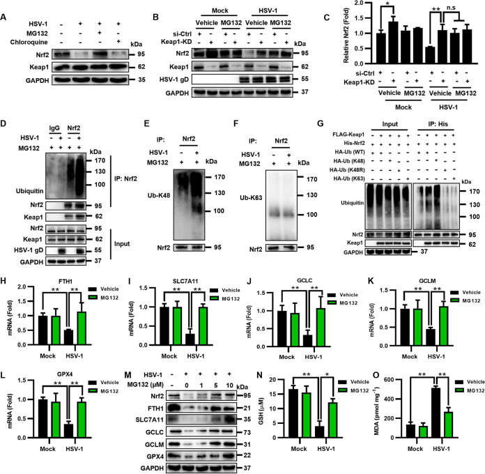 FIG 4