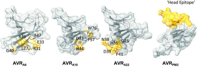 Fig. 4.