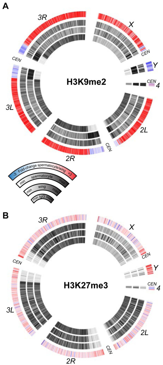 Figure 5.