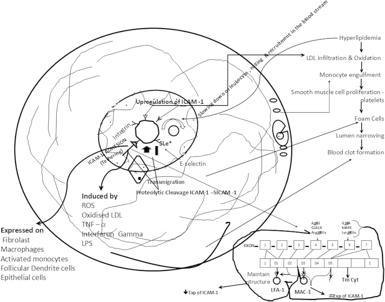 Fig. 2