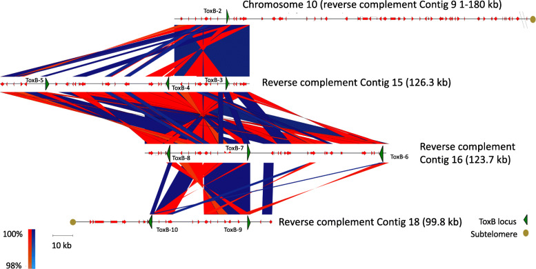 Fig. 4