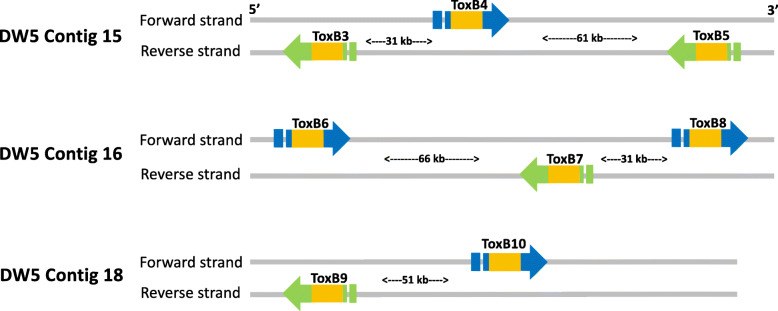 Fig. 2