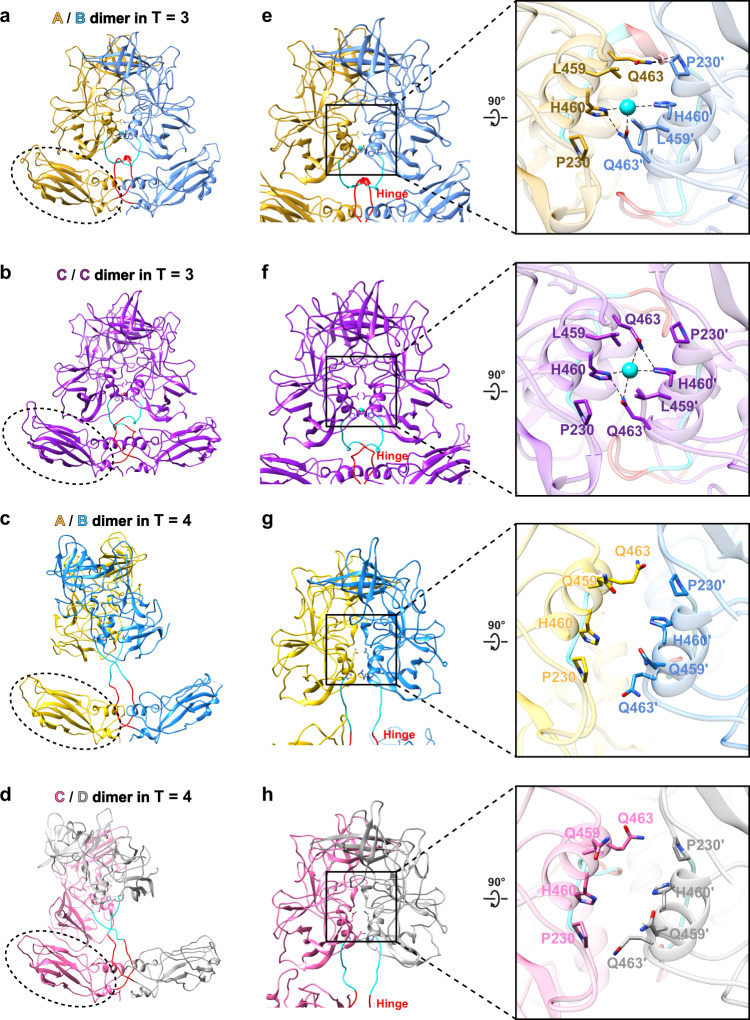 Fig. 7