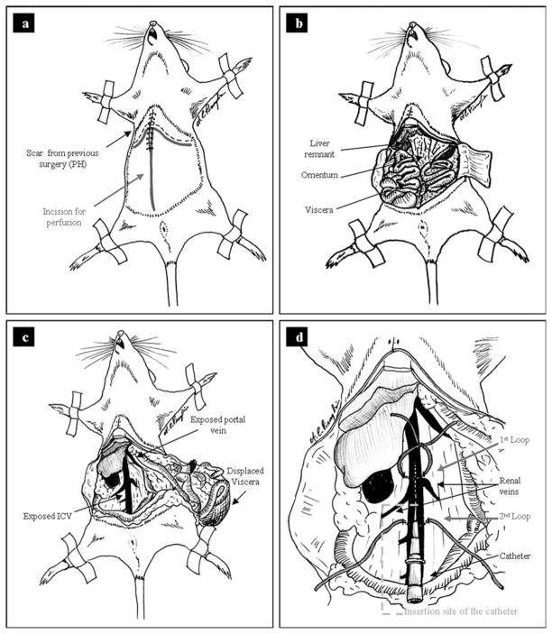 Fig. 24.2