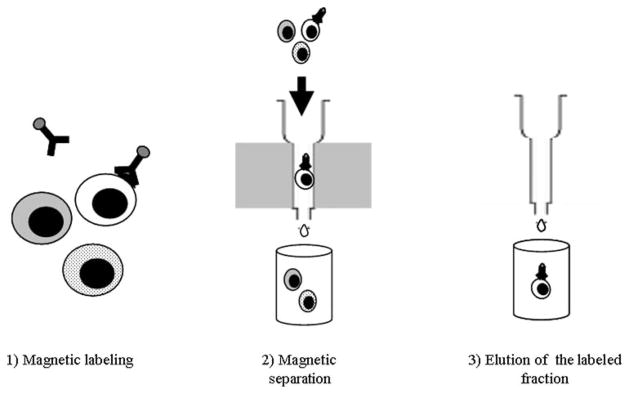 Fig. 24.3