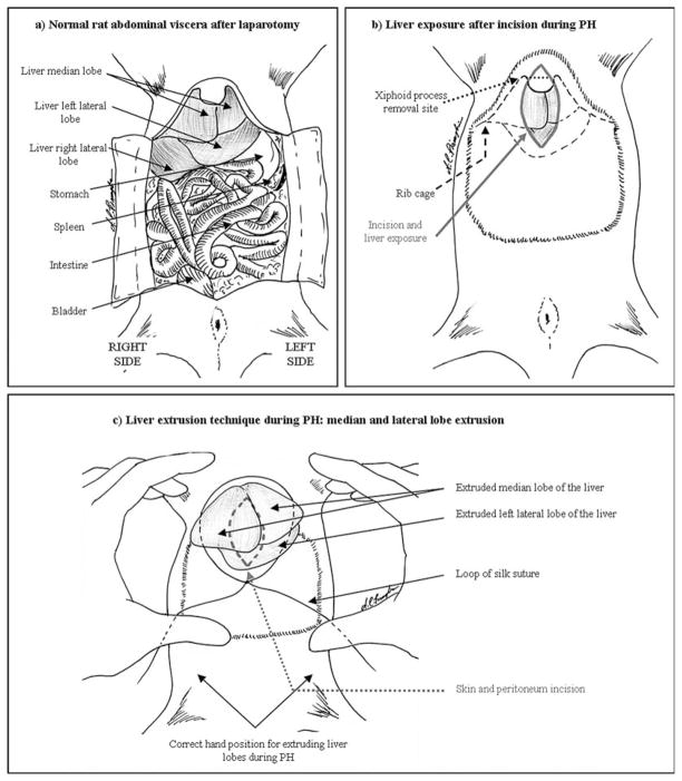 Fig. 24.1