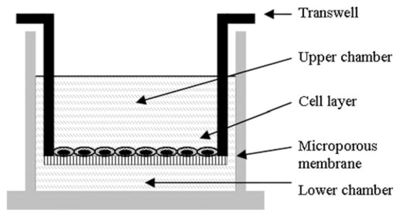 Fig. 24.5