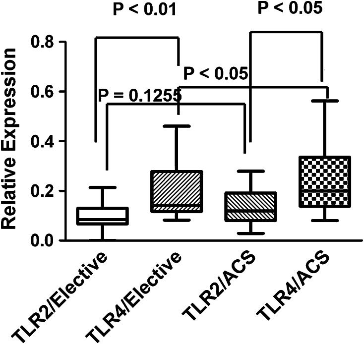 Fig. 2