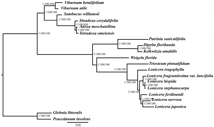 Figure 7