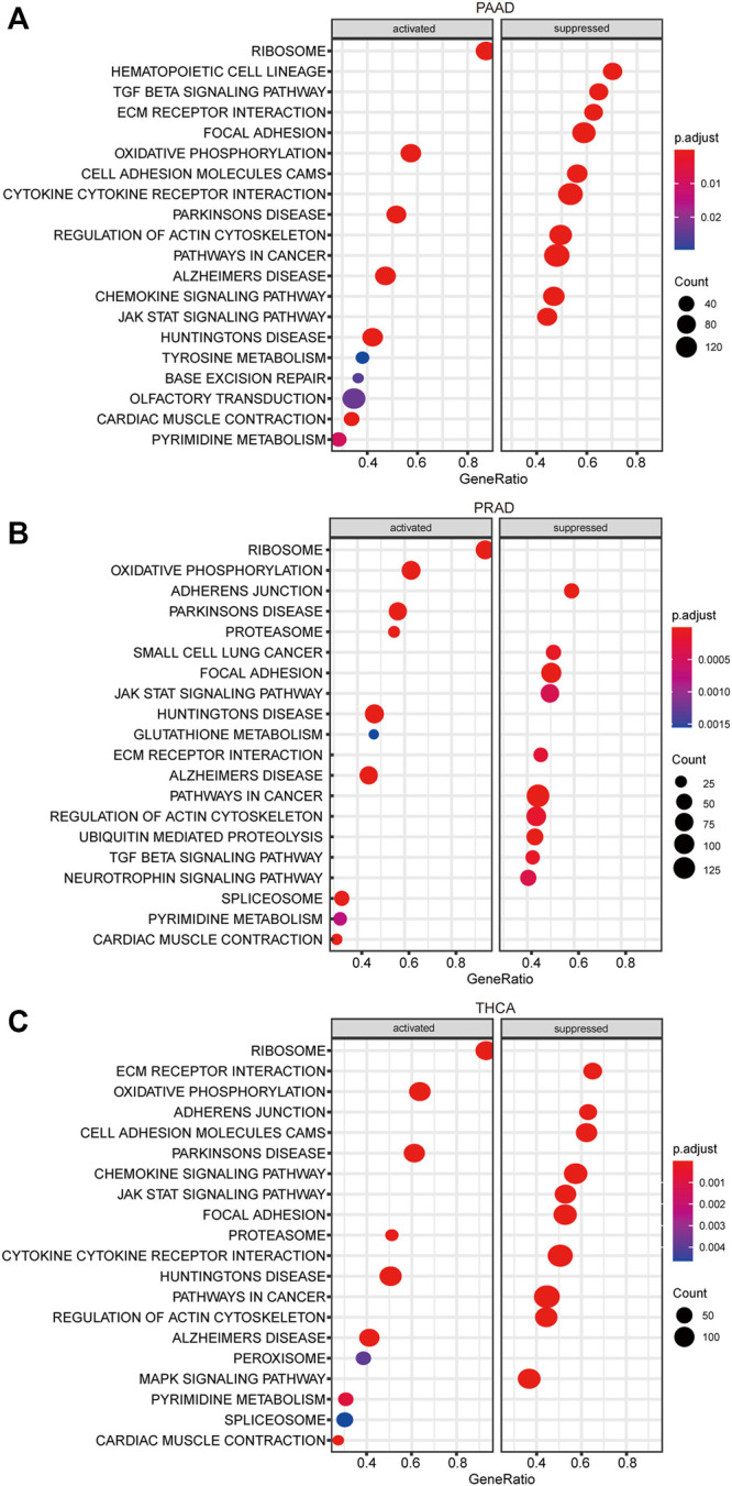 FIGURE 12