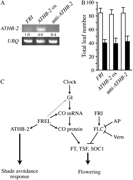 Figure 7.