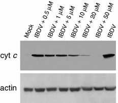 Fig. 6