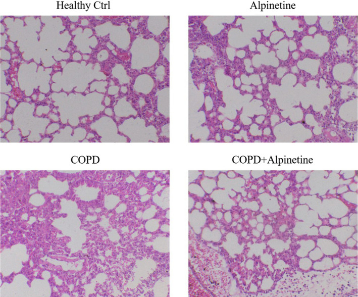 FIGURE 2