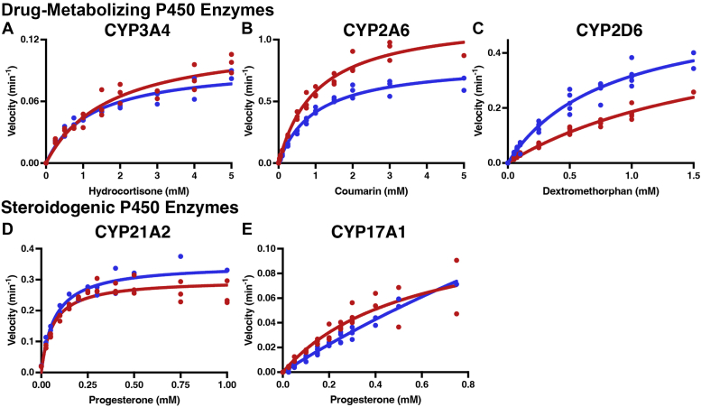 Figure 4