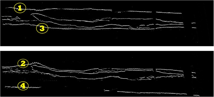 Fig. 9