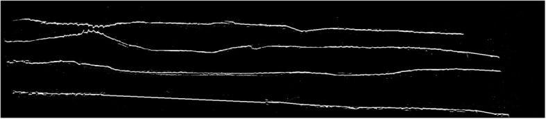 Fig. 10