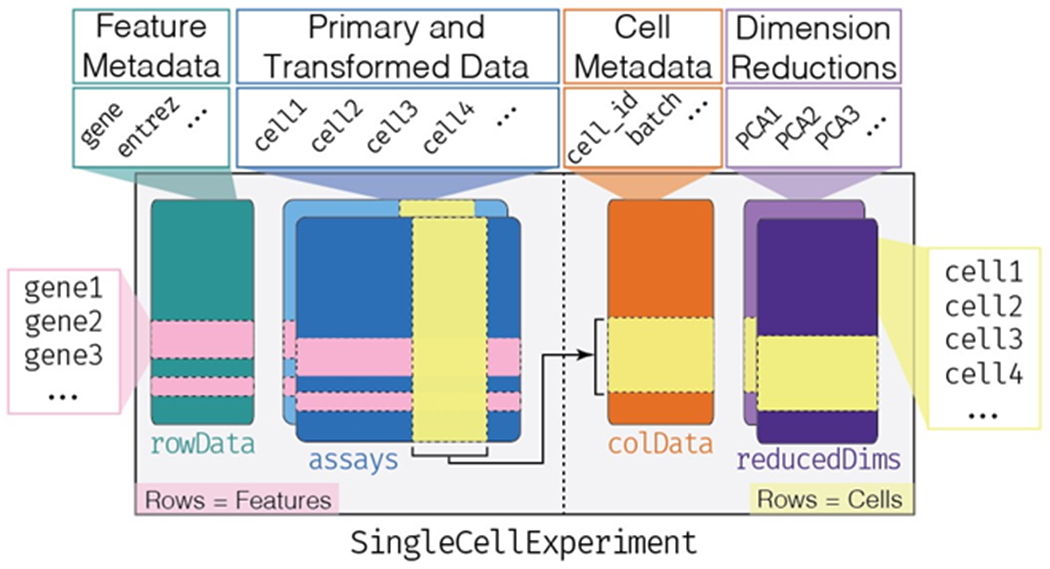 Figure 2: