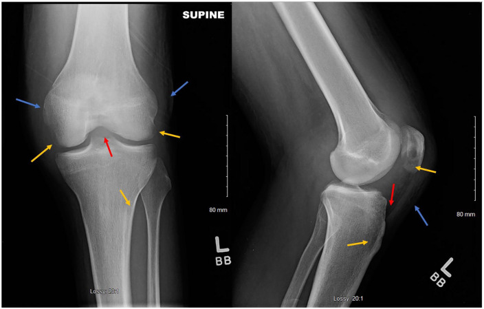 Figure 3.