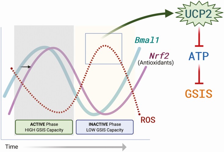 Figure 2: