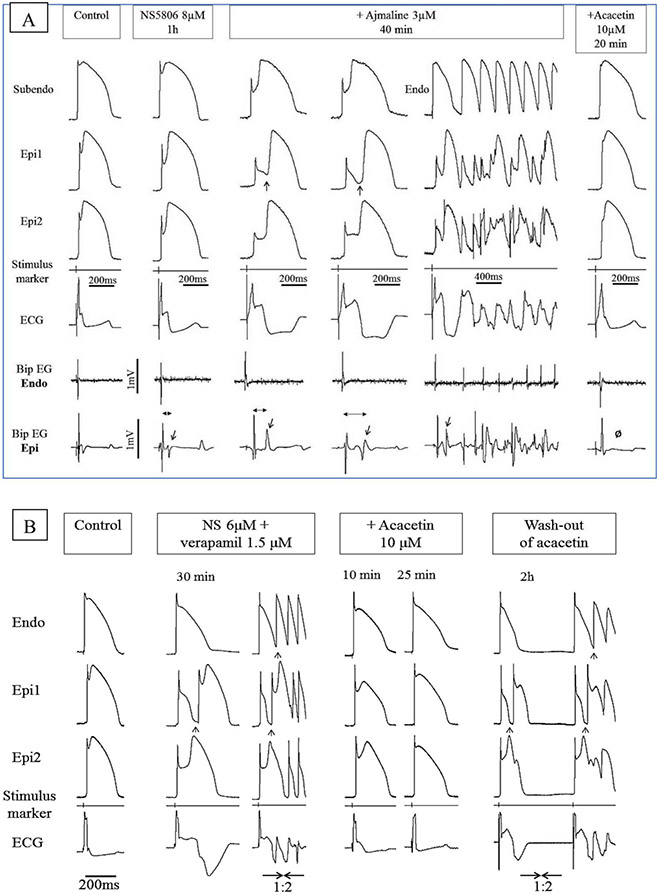 Figure 12.