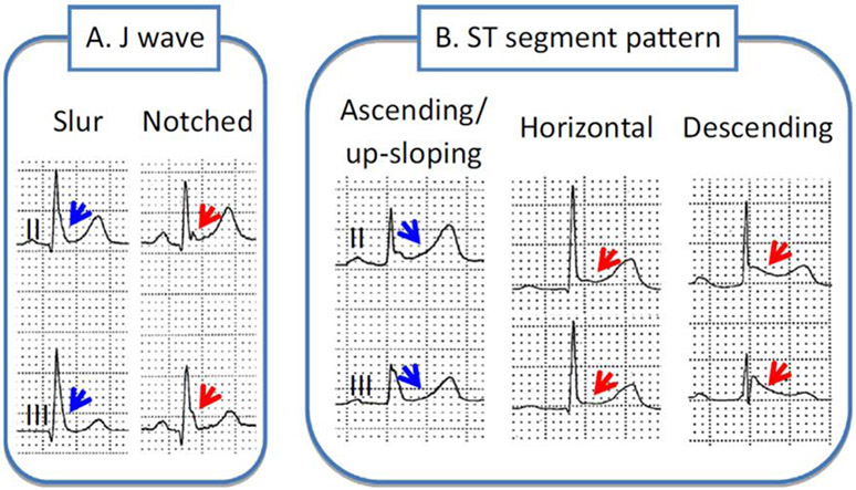 Figure 2: